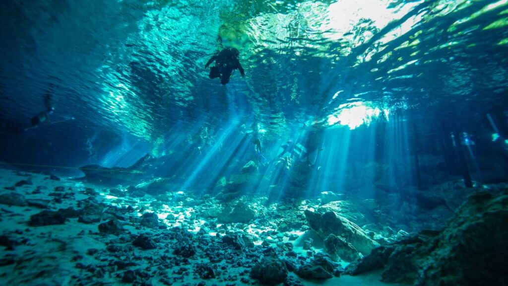 Cenote FEATURED IMAGE CNmFiC